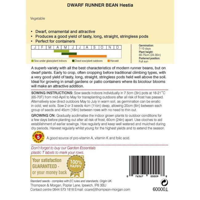 THOMPSON & MORGAN - DWARF RUNNER BEAN HESTIA SEEDS - Image 2
