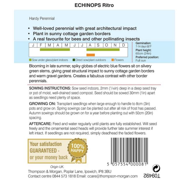 THOMPSON & MORGAN - ECHINOPS RITRO SEEDS - Image 2