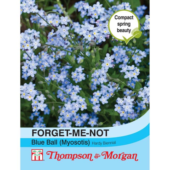 THOMPSON & MORGAN - FORGET-ME-NOT BLUE BALL (MYOSOTIS) SEEDS