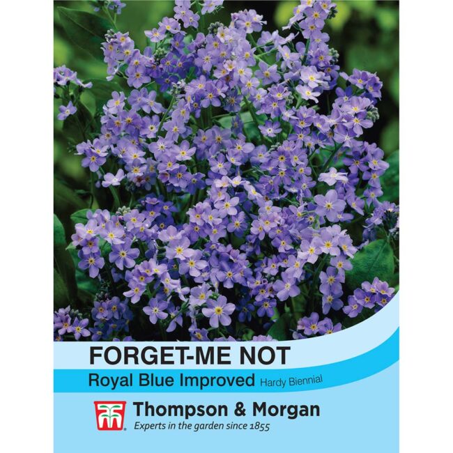 THOMPSON & MORGAN - FORGET-ME-NOT ROYAL BLUE IMPROVED SEEDS