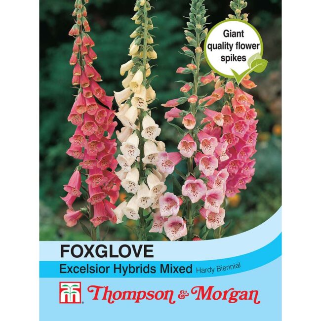 THOMPSON & MORGAN - FOXGLOVE EXCELSIOR HYBRIDS MIXED SEEDS