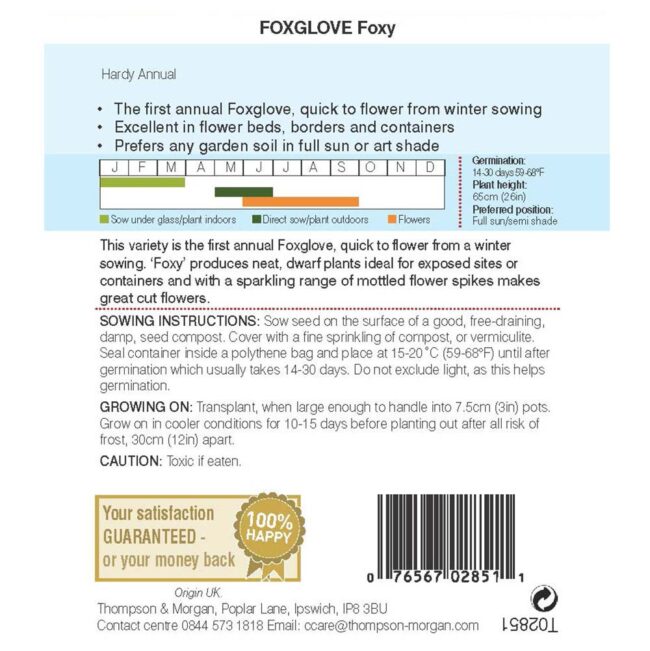 THOMPSON & MORGAN - FOXGLOVE FOXY SEEDS - Image 2