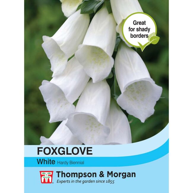 THOMPSON & MORGAN - FOXGLOVE WHITE SEEDS