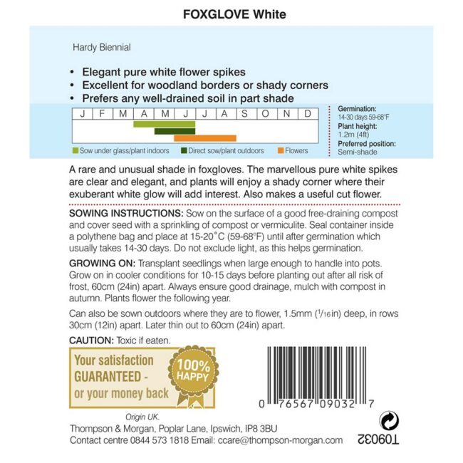 THOMPSON & MORGAN - FOXGLOVE WHITE SEEDS - Image 2