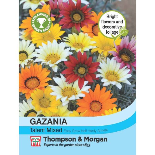 THOMPSON & MORGAN - GAZANIA TALENT MIXED SEEDS