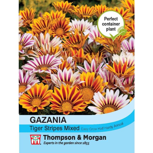 THOMPSON & MORGAN - GAZANIA TIGER STRIPES MIXED SEEDS