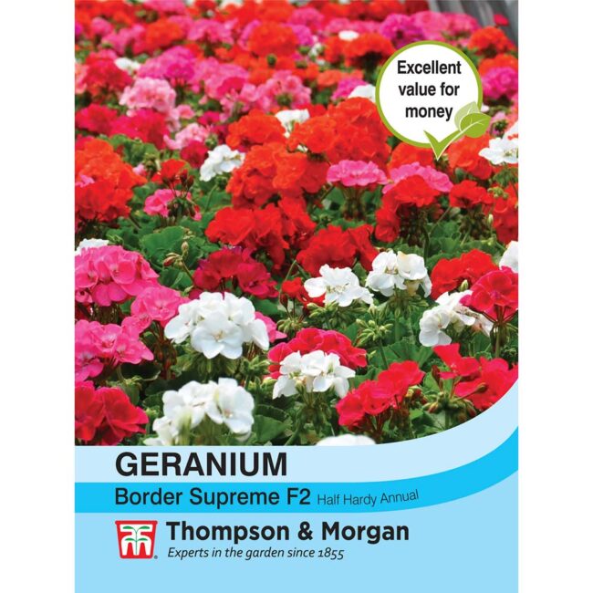 THOMPSON & MORGAN - GERANIUM BORDER SUPREME F2 HYBRID SEEDS