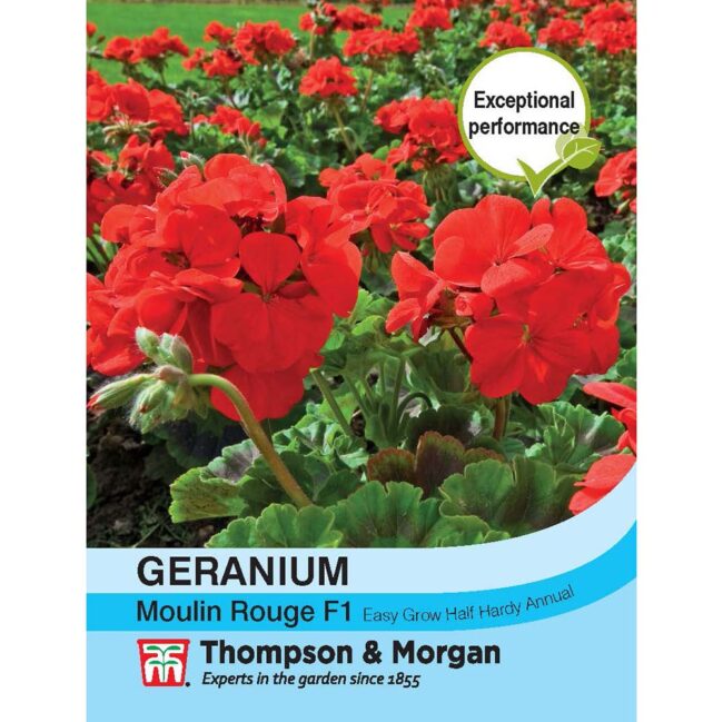 THOMPSON & MORGAN - GERANIUM MOULIN ROUGE SEEDS