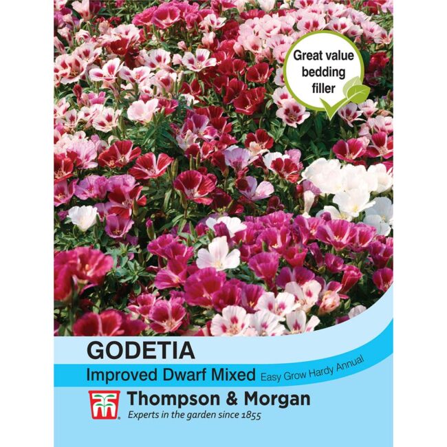 THOMPSON & MORGAN - GODETIA IMPROVED DWARF MIXED SEEDS