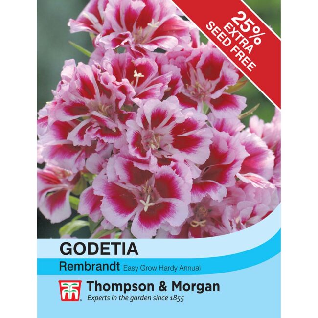 THOMPSON & MORGAN - GODETIA REMBRANDT SEEDS