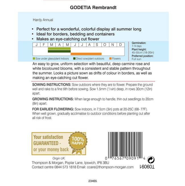 THOMPSON & MORGAN - GODETIA REMBRANDT SEEDS - Image 2