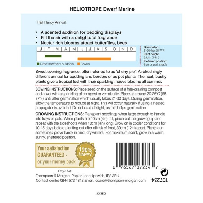 THOMPSON & MORGAN - HELIOTROPUM DWARF MARINE SEEDS - Image 2