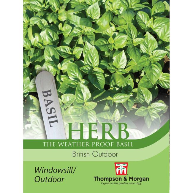 THOMPSON & MORGAN - BASIL BRITISH OUTDOOR SEEDS