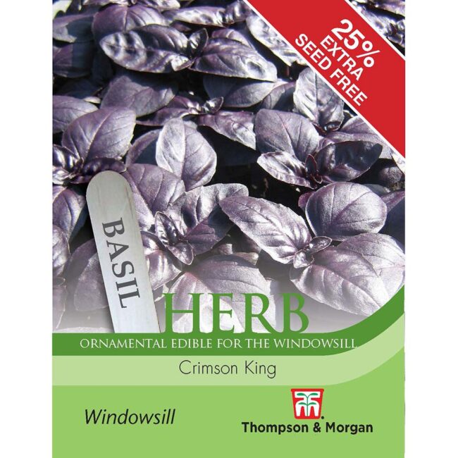 THOMPSON & MORGAN - BASIL CRIMSON KING SEEDS