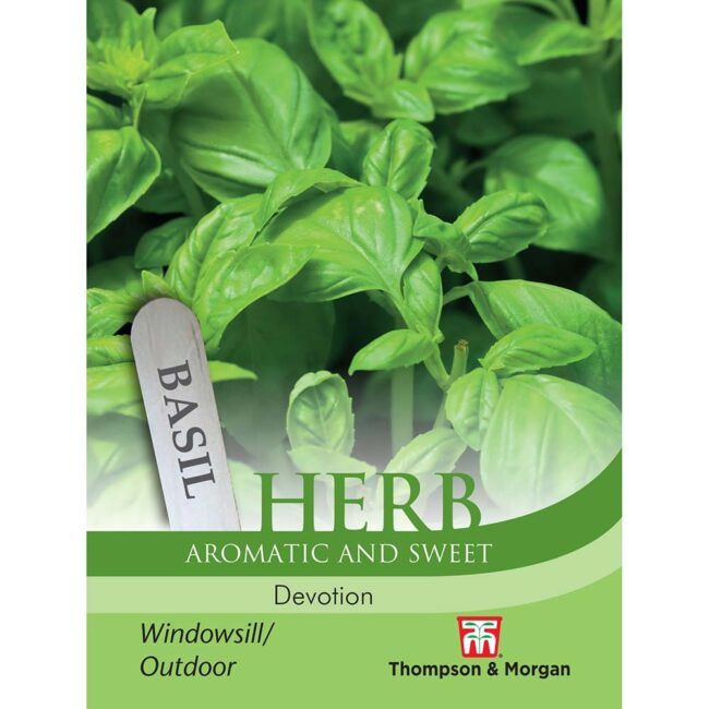 THOMPSON & MORGAN - HERB BASIL DEVOTION