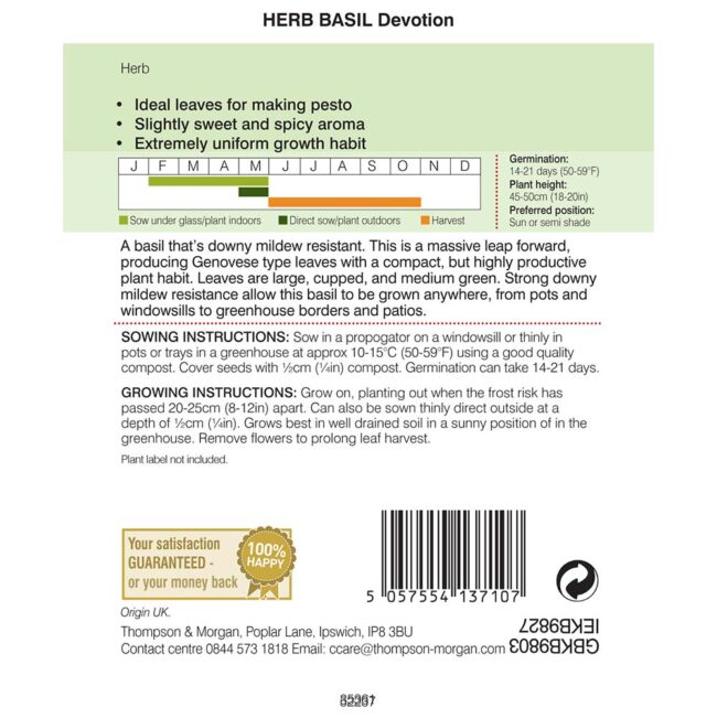 THOMPSON & MORGAN - HERB BASIL DEVOTION - Image 2