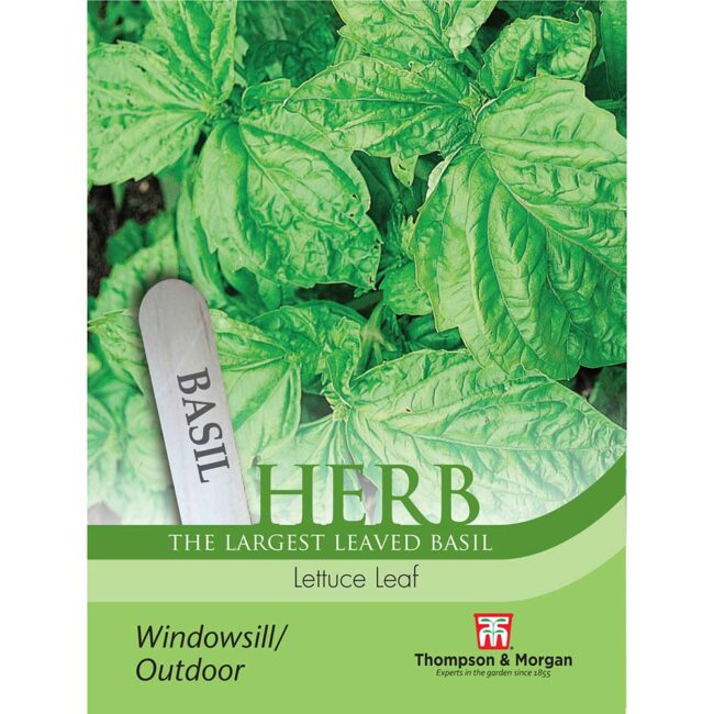 THOMPSON & MORGAN - BASIL LETTUCE LEAF SEEDS