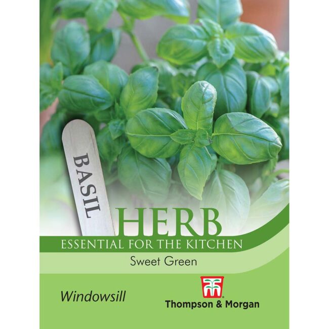 THOMPSON & MORGAN - BASIL SWEET GREEN SEEDS