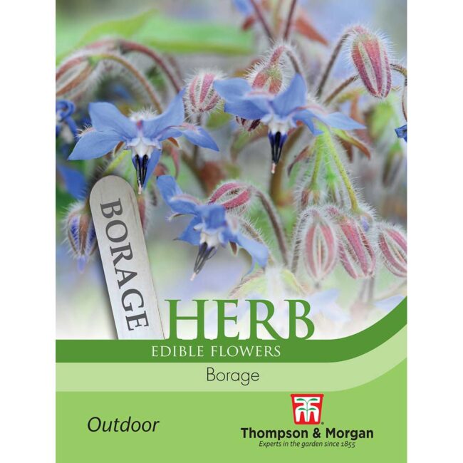 THOMPSON & MORGAN - BORAGE SEEDS