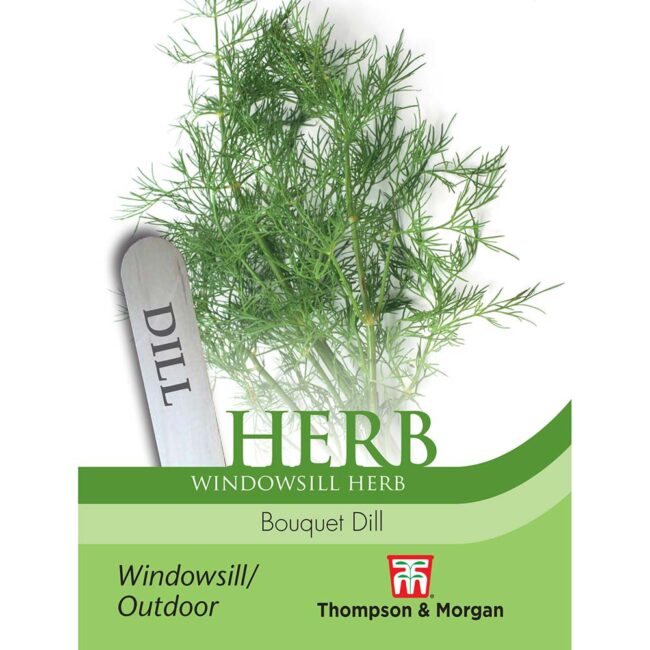 THOMPSON & MORGAN - BOUQUET DILL SEEDS