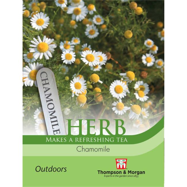 THOMPSON & MORGAN - HERB CHAMOMILE