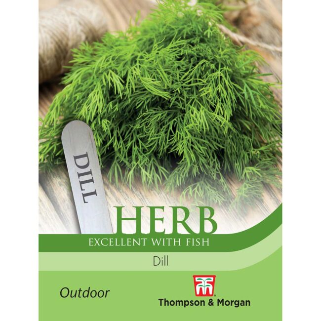 THOMPSON & MORGAN - DILL SEEDS