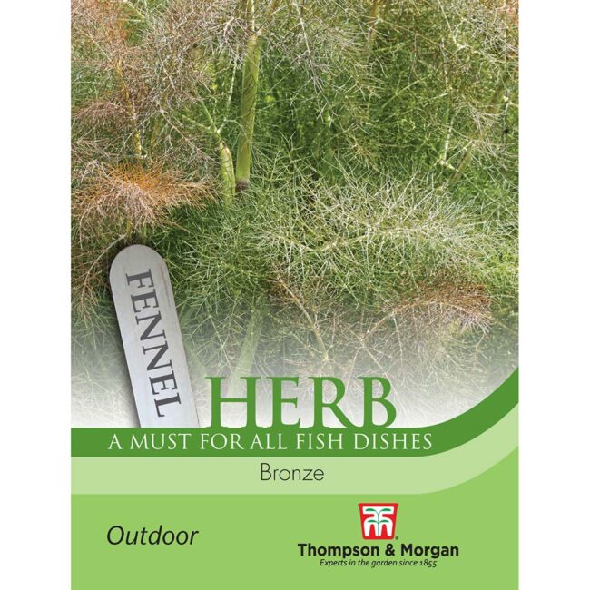THOMPSON & MORGAN - HERB FENNEL BRONZE