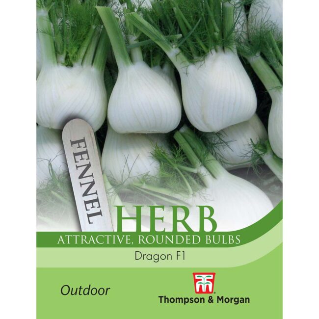 THOMPSON & MORGAN - FENNEL DRAGON F1 HYBRID SEEDS