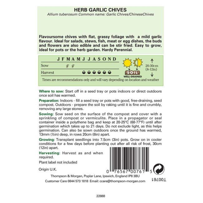 THOMPSON & MORGAN - GARLIC CHIVES SEEDS - Image 2