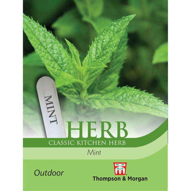 THOMPSON & MORGAN - MINT (PEPPERMINT) SEEDS