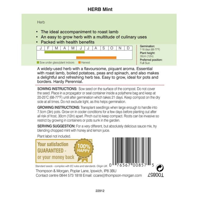 THOMPSON & MORGAN - MINT (PEPPERMINT) SEEDS - Image 2