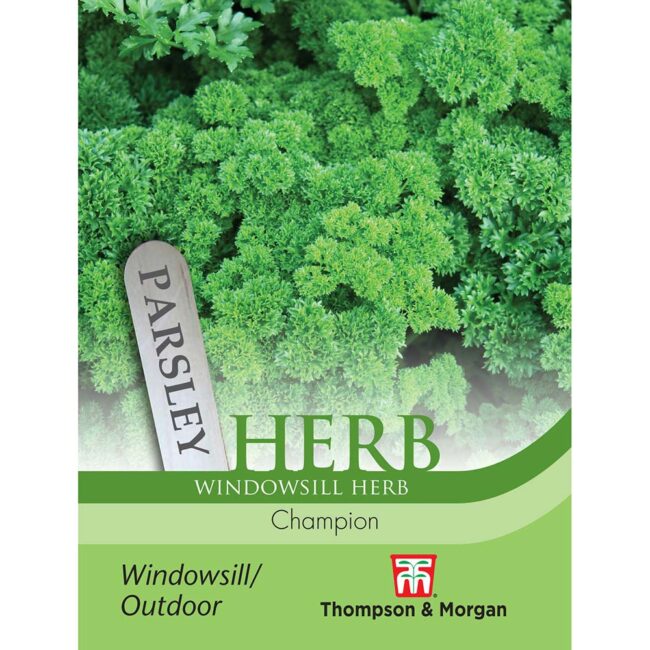 THOMPSON & MORGAN - PARSLEY CHAMPION SEEDS