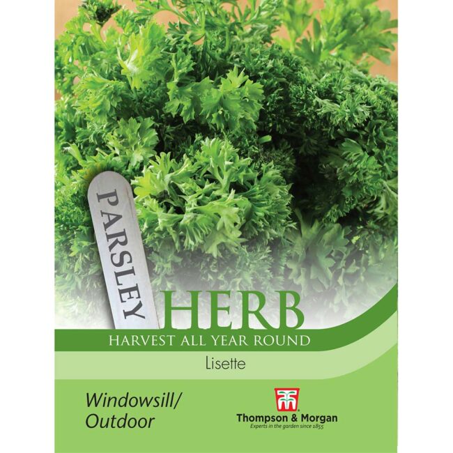THOMPSON & MORGAN - PARSLEY LISETTE SEEDS