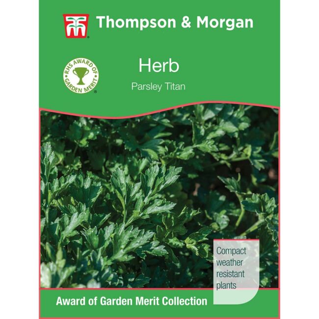 THOMPSON & MORGAN - HERB PARSLEY TITAN