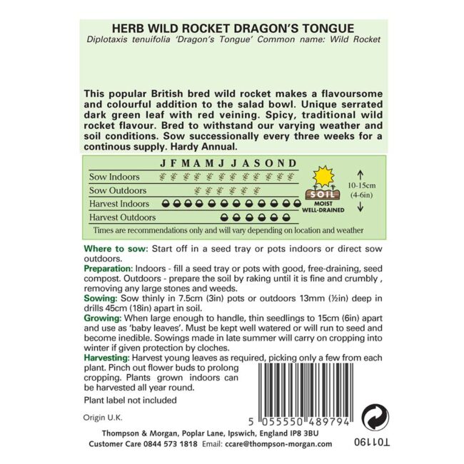 THOMPSON & MORGAN - ROCKET DRAGONS TONGUE SEEDS - Image 2