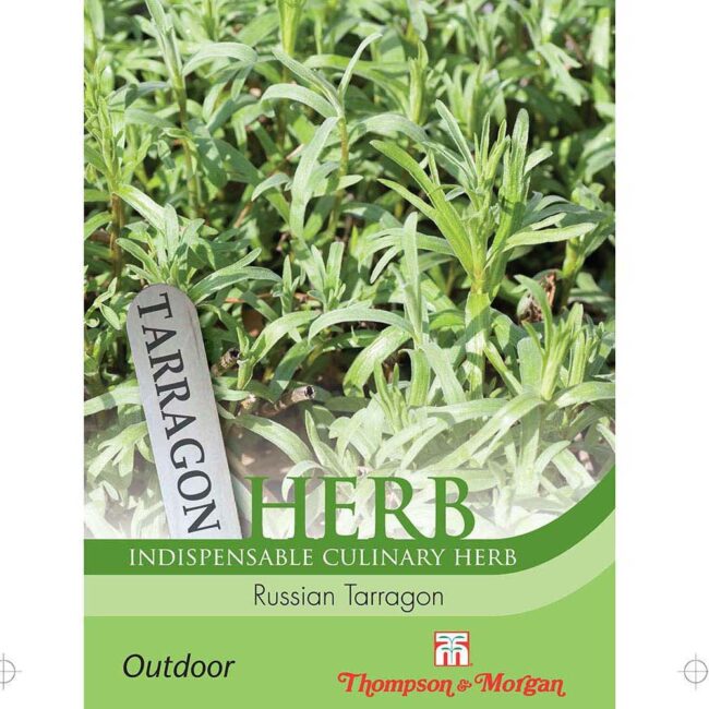 THOMPSON & MORGAN - RUSSIAN TARRAGON - THOMPSON & MORGANSEEDS