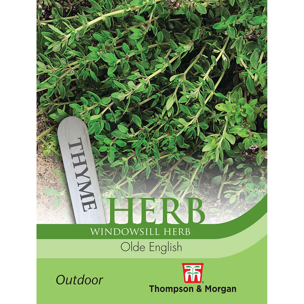 THOMPSON & MORGAN - THYME OLDE ENGLISH SEEDS