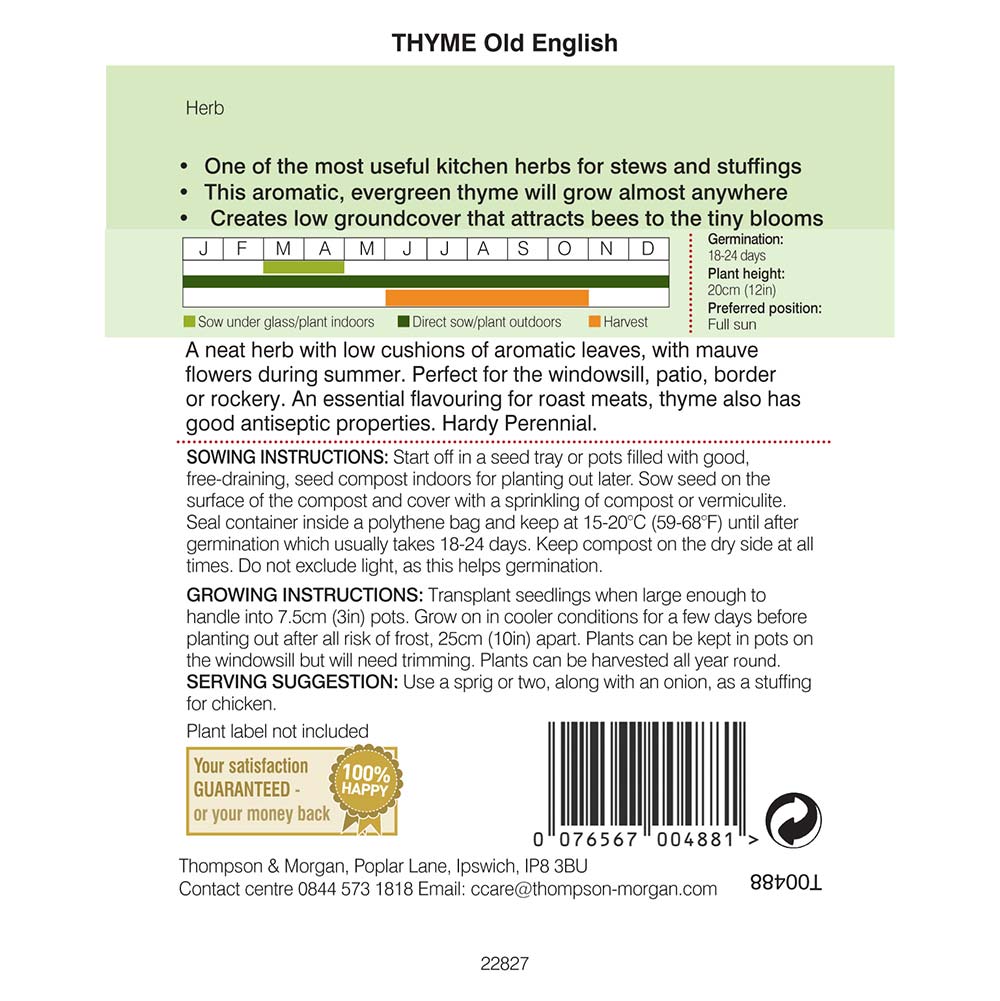 THOMPSON & MORGAN - THYME OLDE ENGLISH SEEDS - Image 2