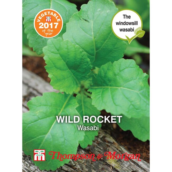 THOMPSON & MORGAN - WILD ROCKET WASABI SEEDS