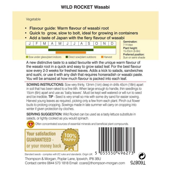 THOMPSON & MORGAN - WILD ROCKET WASABI SEEDS - Image 2