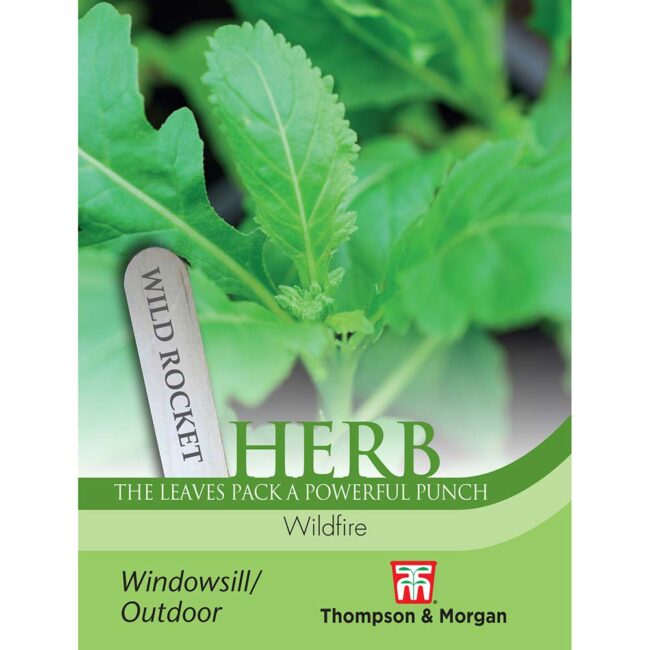 THOMPSON & MORGAN - WILD ROCKET WILDFIRE SEEDS