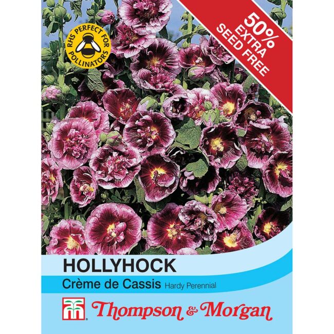 THOMPSON & MORGAN - HOLLYHOCK CREME DE CASSIS SEEDS