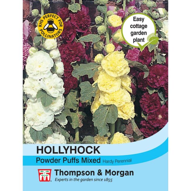THOMPSON & MORGAN - HOLLYHOCK POWDER PUFFS MIXED SEEDS