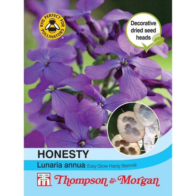 THOMPSON & MORGAN - HONESTY (LUNARIA OR SILVER DOLLAR) SEEDS