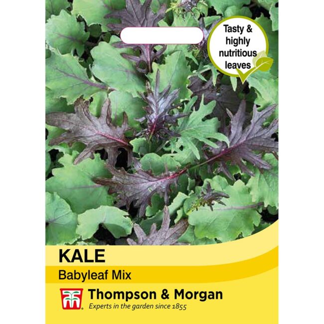 THOMPSON & MORGAN - KALE BABYLEAF MIX SEEDS