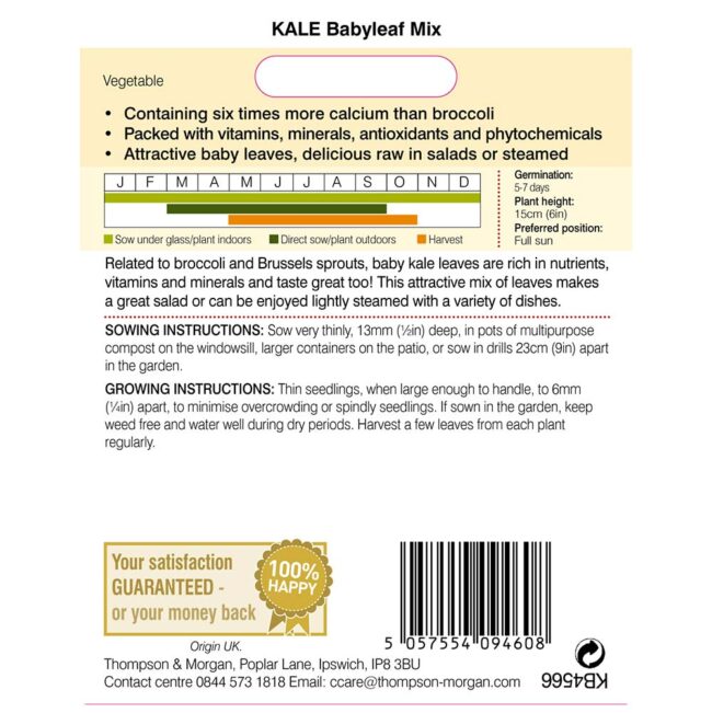 THOMPSON & MORGAN - KALE BABYLEAF MIX SEEDS - Image 2
