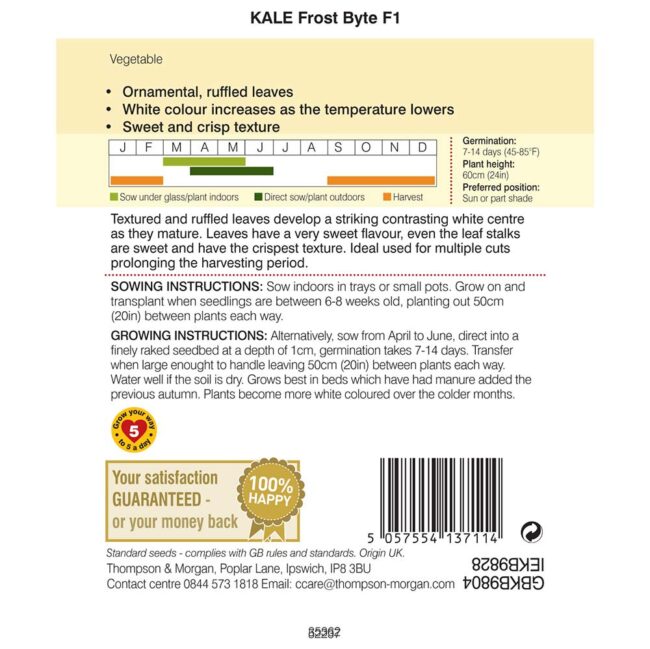 THOMPSON & MORGAN - KALE FROST BYTE F1 - Image 2