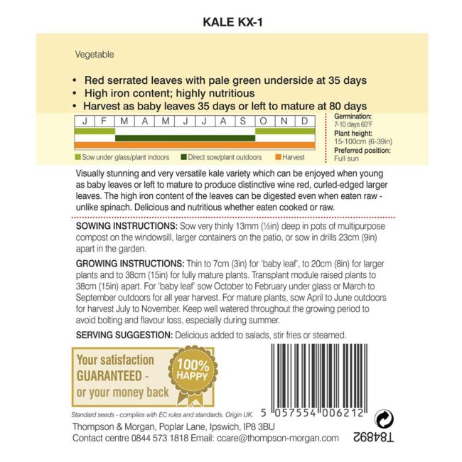 THOMPSON & MORGAN - KALE KX-1 SEEDS - Image 2