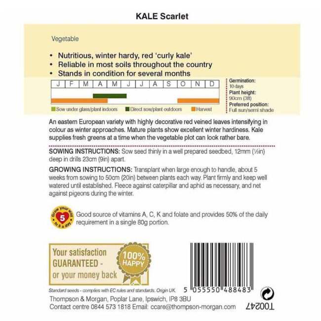 THOMPSON & MORGAN - KALE SCARLET SEEDS - Image 2