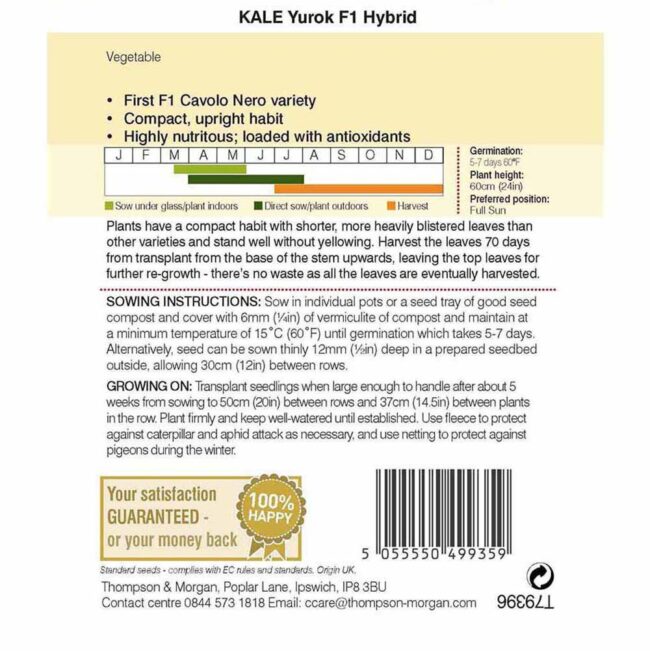 THOMPSON & MORGAN - KALE YUROK F1 HYBRID SEEDS - Image 2